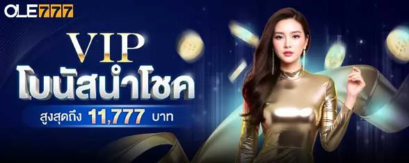 โปรโมชั่น VIP โบนัสนำโชค (1-7)