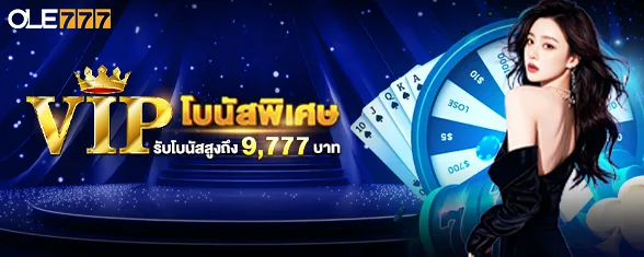 โปรโมชั่น VIP โบนัสพิเศษ  (24-30.,31)